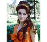 Ann-Margret Poster Stampa 61x50.8cm Immagine Grande 266685