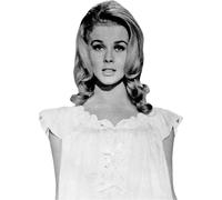Ann-Margret (Young) Half Body Buddy Cutout
