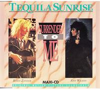 Ann Wilson & Robin Zander - Surrender To Me [CD-Single, DE, Capitol]