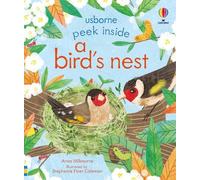 Peek Inside a Bird's Nest