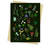 Anna Stead Forest Floor Greeting Card Pack: Pack of 6