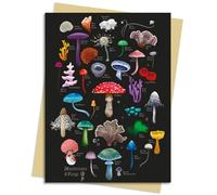 Anna Stead Mushrooms & Fungi Greeting Card: Pack of 6