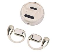 Annadue Auricolari di Traduzione AI, Traduttore in Tempo Reale 144 Lingue con Alta Precisione, Bluetooth 5.4, Cancellazione del Rumore, per L'interpretazione della Conferenza Riunioni (colore della