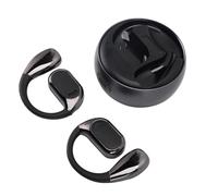 Annadue Auricolari di Traduzione AI, Traduttore in Tempo Reale 144 Lingue con Alta Precisione, Bluetooth 5.4, Cancellazione del Rumore, per L'interpretazione della Conferenza Riunioni (BLACK)