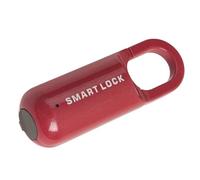 Annadue Lucchetto con Impronta Digitale, Lucchetto di Sicurezza Senza Chiave con con Impronta Digitale Ricaricabile Tramite USB, Serratura Elettrica Antifurto per Bagagli, Porta di Viaggio, Cassetto