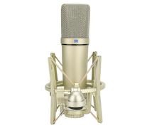 Annadue Microfono a Condensatore, Microfono a Condensatore da Studio Professionale con Base Stabile, Microfono per PC Cardioide Cablato per Registrazione Vocale, Podcasting, Streaming