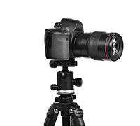 Annadue Piastra a Sgancio Rapido da 1/4" per Testa a Sfera per Treppiede Benro, Piastra di Montaggio per Fotocamera in Alluminio CNC per Fotocamera SLR DSLR, Compatibile con i Morsetti Wimberley