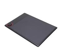 Annadue Tablet per Visualizzazione della Penna da Disegno da 10x6 Pollici con 8192 Livelli di Pressione Sensibili per SAI Illustrator Lightroom