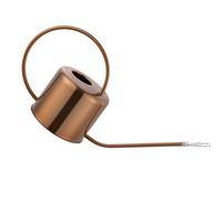 Annaffiatoio,Annaffiatoio a becco lungo | Fiori per interni, 1,3 l acqua di, strumenti di irrigazione in acciaio inossidabile per casa, studio, negozio di fiori