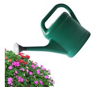 Annaffiatoio da 3 litri, annaffiatoio con testa di rosa rimovibile e collo lungo, annaffiatoio per piante da giardino con manico e testa rimovibile per piante da appartamento e da giardino