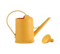 Annaffiatoio Decorativo Da 2000 Ml con Manico Curvo, Grande Capacità, Multiuso,