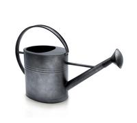 Annaffiatoio decorativo in zinco antracite - 7 l - Caraffa in metallo con beccuccio lungo - Annaffiatoio in zinco nostalgico da giardino zincato con soffione doccia decorazione per giardino, balcone