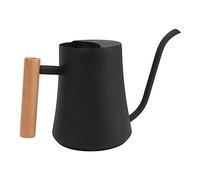 Annaffiatoio in Acciaio Inossidabile Annaffiatoio per Piccole Piante retrò con Manico in Legno per Interni Ed Esterni 1000ML (#2)