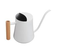 Annaffiatoio in Acciaio Inossidabile Annaffiatoio per Piccole Piante retrò con Manico in Legno per Interni Ed Esterni 1000ML (#1)