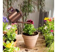 Annaffiatoio in acciaio inossidabile Moderne lattine d'acqua per interni ed