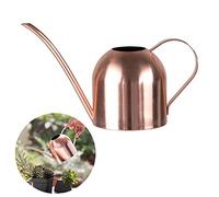 Annaffiatoio in acciaio inox, piccolo vaso per irrigazione a bocca lunga, per interni ed esterni, giardino, piante grasse, 500 ml (oro rosa)