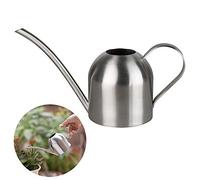 Annaffiatoio in acciaio inox, piccolo vaso per irrigazione a bocca lunga, per interni ed esterni, giardino, piante grasse, 500 ml (argento)