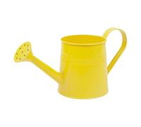 annaffiatoio in metallo, per interni ed esterni, con beccuccio lungo e manici, irrigatore per piante d'appartamento, annaffiatoio portatile, in tinta unita, mini per giardino fiorito
