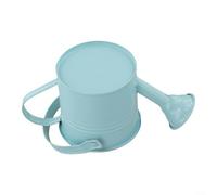 Annaffiatoio in metallo per piante da interno ed esterno con beccuccio lungo per un flusso d'acqua controllato e schizzi minimi (azzurro)