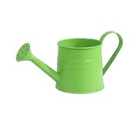 Annaffiatoio per interni | 1 L in ferro con becco lungo e | moderno per piante da appartamento | per giardino balcone terrazza cortile fiori paesaggio