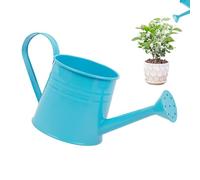Annaffiatoio per Piante 1L Vaso per Fiori | Annaffiatoio a Becco Lungo Secchio per Composizioni Floreali per Giardinaggio interno ed esterno, Serra