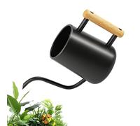 Annaffiatoio piccolo da 1 l, annaffiatoio per piante da interno con beccuccio lungo e comodo manico in legno, in acciaio inox per piante grasse, innaffiatoio da giardino per interni, Watering Can