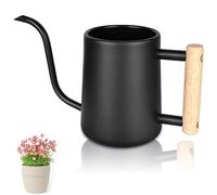 Annaffiatoio Piccolo per Piante, Annaffiatoio con Beccuccio Lungo e Manico, per Giardino, Piante, Fiori e Casa, Antracite, 1 L (Nero)