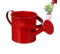 Annaffiatoio | Vaso decorativo con presa confortevole - Innaffiatoio Piante per interni esterni | Per giardinieri Famiglia Amici Vicini Anziani Prato Posteriore Cortile Portico