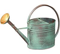 Annaffiatoio verde da 4 l + mela di irrigazione in ottone