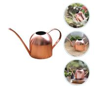 Annaffiatoio Vintage Piccolo Bottiglia Di Irrigazione Offerta Da Giardino