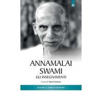 Annamalai Swami. Gli insegnamenti