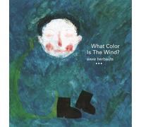 Anne Herbauts What Color Is the Wind? (Tascabile)