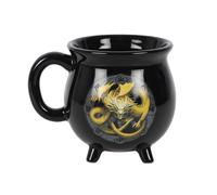 Anne Stokes Imbolc Calderone Tazza Termosensibile Cambia Colore col (SD4076)