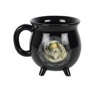 Anne Stokes Ostara Calderone Tazza Termosensibile Cambia Colore col (SD4125)