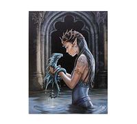 ANNE STOKES WP_75422 Placca multicolore, 20x26 cm