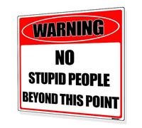 annekilly Targa in metallo con scritta in lingua inglese "No Stupid People Beyond This Point" per esterni, casa, cucina, cortile, decorazione da parete, in metallo, 20,3 x 20,3 cm