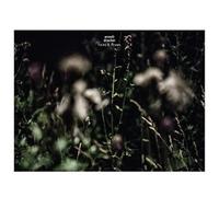 Anneli Drecker Rocks & Straws (CD) Album