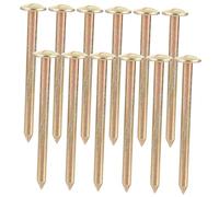 Anneome 12 pezzi Picchetti Marcatori in Acciaio Zincato per Rilievi Topografici Chiodi per Misurazione Confini Proprietà e Bordature Giardino Resistenti e Facili da Usare per