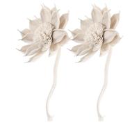 Anneome Diffusore Sola Flowers 2 Pezzi con Fiori di Canna e Corda, Diffusore Aromaterapia Floreale Naturale con Bastoncini Profumati, Ricarica per Zona Soggiorno e Camera da Letto