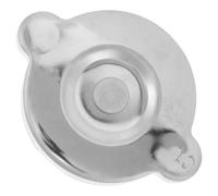Anneome Radiatore in Acciaio Inossidabile Copertura per Serbatoio Liquido Refrigerante Auto Protettivo Antisporcizia per Modifica Veicolo