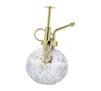 Anneome Spruzzatore per Fiori e Annaffiatoio in Vetro Trasparente Beccuccio Dorato, Flacone Spray per Piante da Interno e Bonsai, Irrigatore Manuale per Piccoli Vasi e Giardino