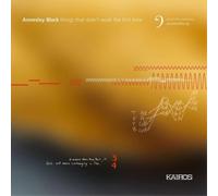 Things That Didn't Work The First Time - Annesley Black (Audio Cd)