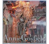 Annie Gosfield Flying Sparks And Heavy Machinery (CD) Album