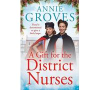 Annie Groves A Gift for the District Nurses (Tascabile) District Nurses