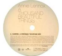 Annie Lennox - Annie Lennox - Thousand Beautiful Things - [12"]