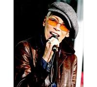 Annie Lennox Poster Stampa 61x50.8cm Raffreddamento Illustrato 273792