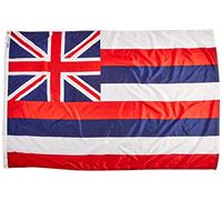 Annin Flagmakers 141270 Bandiera dello Stato, 4x6', Non applicabile