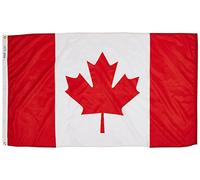 Annin Flagmakers 191337 Bandiera internazionale, 3x5', non applicabile