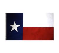 Annin Flagmakers 4-feet by 6-feet tough-tex Texas stato bandiera