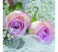 Anniversary House carta rosa, 20 pezzi Tiflair-Tovaglioli romantici a 3 veli, motivo: rose, Multicolore, PJ378451